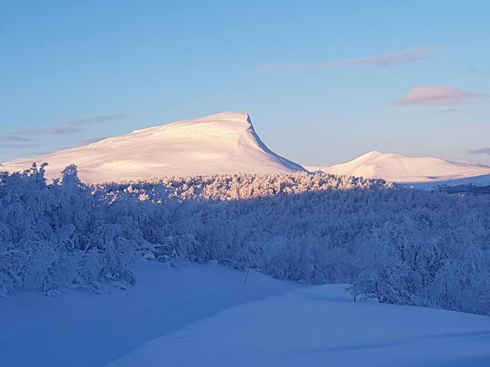 Bruksvallarna - Modern Fjaellstuga Med Panoramautsikt Och Wifi 外观 照片