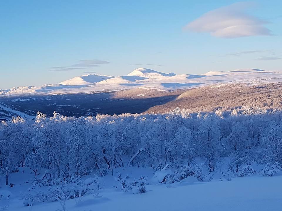 Bruksvallarna - Modern Fjaellstuga Med Panoramautsikt Och Wifi 外观 照片
