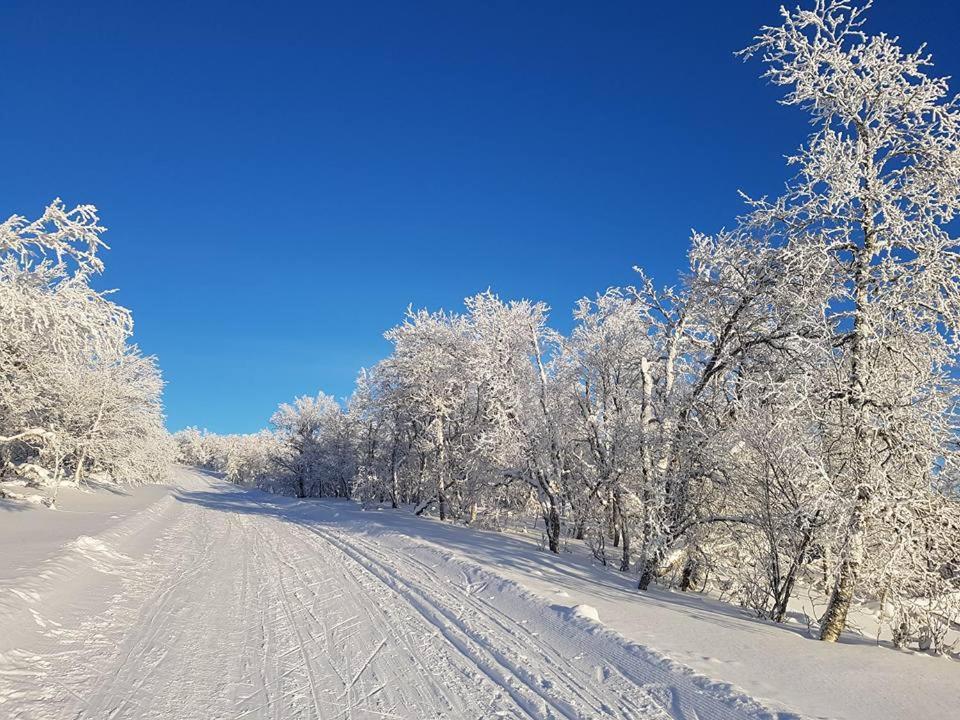 Bruksvallarna - Modern Fjaellstuga Med Panoramautsikt Och Wifi 外观 照片