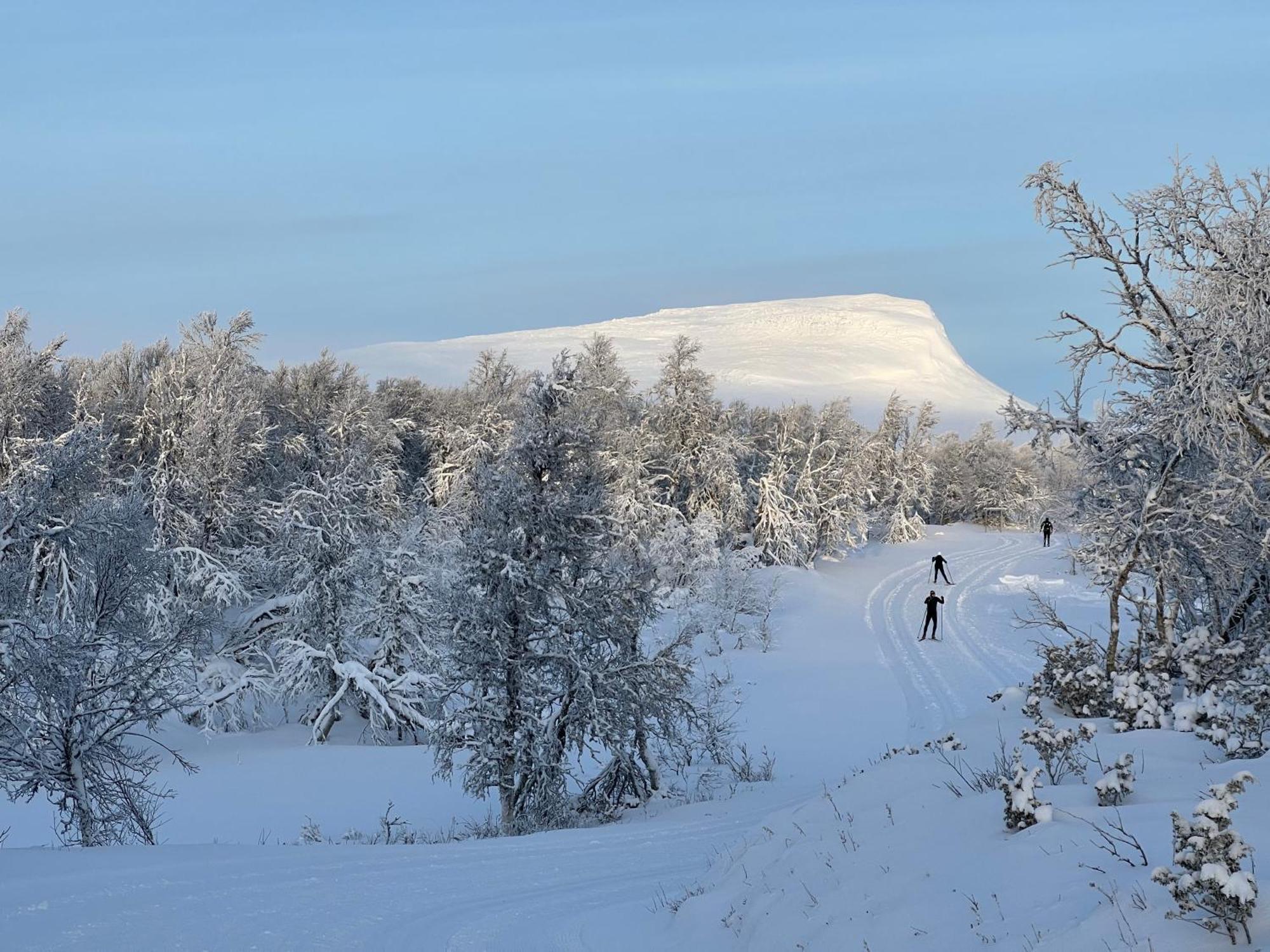 Bruksvallarna - Modern Fjaellstuga Med Panoramautsikt Och Wifi 外观 照片